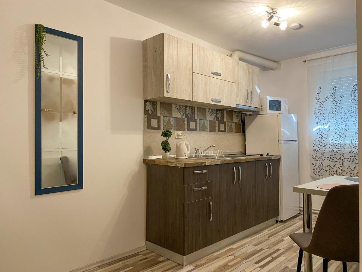 Blue Dream Apartment ทิมิชัวรา ภายนอก รูปภาพ