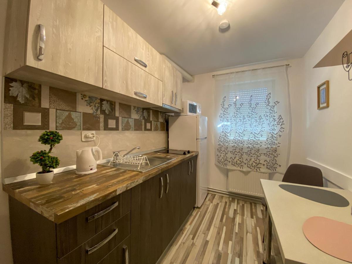 Blue Dream Apartment ทิมิชัวรา ภายนอก รูปภาพ